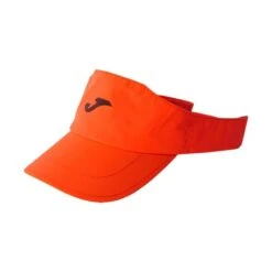 VISERA JOMA